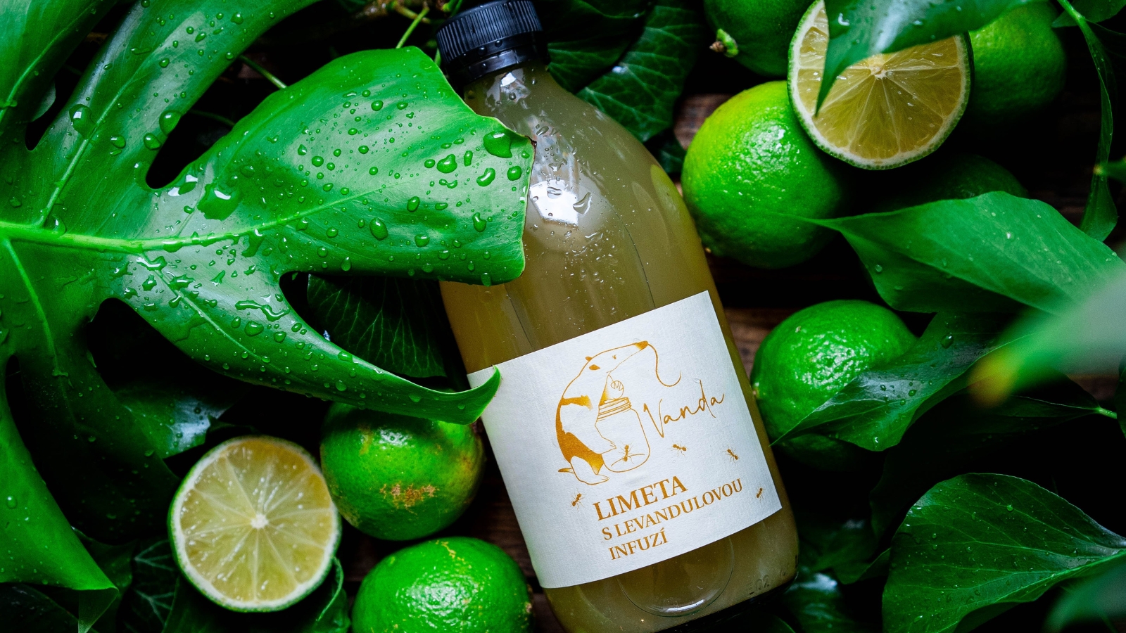 BLOG ČLÁNKY - úvodní fotka (2)